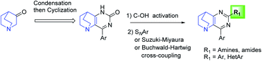 Graphical abstract: Aminations and arylations by direct C–O activation for the design of 7,8-dihydro-6H-5,8-ethanopyrido[3,2-d]pyrimidines