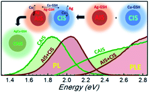 Graphical abstract: Spontaneous alloying of ultrasmall non-stoichiometric Ag–In–S and Cu–In–S quantum dots in aqueous colloidal solutions