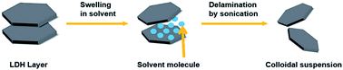 Graphical abstract: Preparation and application of layered double hydroxide nanosheets