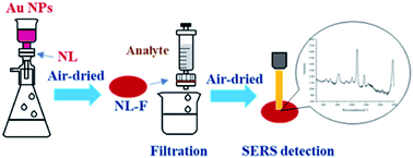 Graphical abstract: Nylon membranes modified by gold nanoparticles as surface-enhanced Raman spectroscopy substrates for several pesticides detection