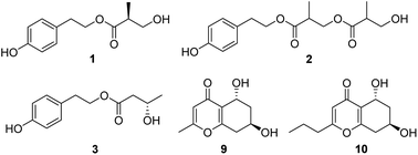 Graphical abstract: New phenol and chromone derivatives from the endolichenic fungus Daldinia species and their antiviral activities