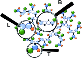Graphical abstract: Quantification of branching within high molecular weight polymers with polyester backbones formed by transfer-dominated branching radical telomerisation (TBRT)