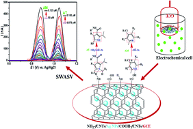 Graphical abstract: Electrochemical sensing platform for the simultaneous femtomolar detection of amlodipine and atorvastatin drugs