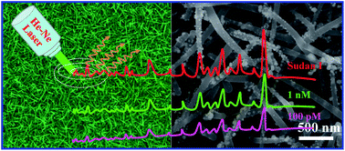 Graphical abstract: AgNPs decorated 3D bionic silicon nanograss arrays pattern with high-density hot-spots for SERS sensing via green galvanic displacement without additives