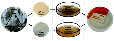 Graphical abstract: Ductile keratin films from deep eutectic solvent-fractionated feathers