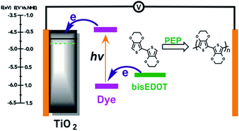 Graphical abstract: Solid-state dye-sensitized solar cells using polymeric hole conductors