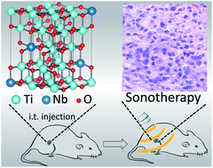 Graphical abstract: Solvothermal synthesis of Nb-doped TiO2 nanoparticles with enhanced sonodynamic effects for destroying tumors