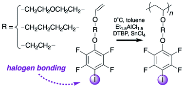 Graphical abstract: Synthesis and cationic polymerization of halogen bonding vinyl ether monomers