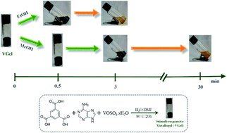 Graphical abstract: A V(iii)-induced metallogel with solvent stimuli-responsive properties: structural proof-of-concept with MD simulations