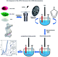Graphical abstract: A new electrochemical DNA biosensor for determination of anti-cancer drug chlorambucil based on a polypyrrole/flower-like platinum/NiCo2O4/pencil graphite electrode