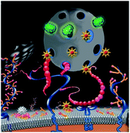 Graphical abstract: Nano-molecularly imprinted polymers (nanoMIPs) as a novel approach to targeted drug delivery in nanomedicine