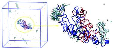 Graphical abstract: Study on the mechanism of laccase-catalyzed polydopamine rapid dyeing and modification of silk