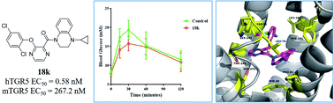 Graphical abstract: Design, synthesis and evaluation of 3-phenoxypyrazine-2-carboxamide derivatives as potent TGR5 agonists