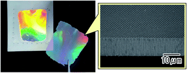 Graphical abstract: Efficient fabrication of ordered alumina through-hole membranes using a TiO2 protective layer prepared by atomic layer deposition