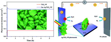 Graphical abstract: Surface plasmon-driven photoelectrochemical water splitting of a Ag/TiO2 nanoplate photoanode