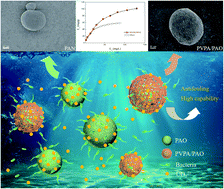 Graphical abstract: Application of poly(vinylphosphonic acid) modified poly(amidoxime) in uptake of uranium from seawater