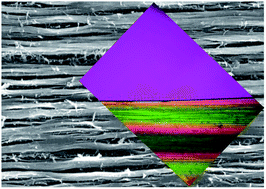 Graphical abstract: Strong anisotropic hydrogels with ion transport capability via reswelling contrast of two oriented polymer networks