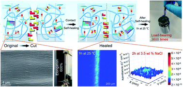 Graphical abstract: Non-covalent assembly of a super-tough, highly stretchable and environmentally adaptable self-healing material inspired by nacre