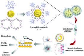 Graphical abstract: Hydrophilic magnetic covalent triazine frameworks for differential N-glycopeptides enrichment in breast cancer plasma membranes