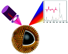 Graphical abstract: Seed/ligand-cooperative growth of dense Au nanospikes on magnetic microparticles for SERS applications