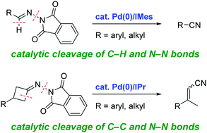 Graphical abstract: Palladium-catalyzed synthesis of nitriles from N-phthaloyl hydrazones