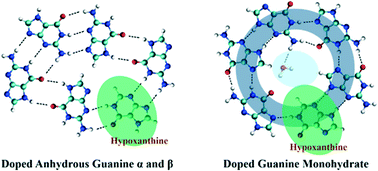 Graphical abstract: Solid-state separation of hypoxanthine tautomers through a doping strategy