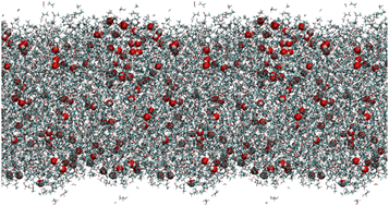 Graphical abstract: An atomistic explanation of the ethanol–water azeotrope