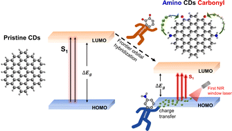 Graphical abstract: Revealing the synergetic interaction between amino and carbonyl functional groups and their effect on the electronic and optical properties of carbon dots