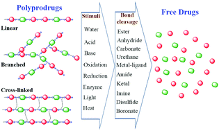 Graphical abstract: Degradable polyprodrugs: design and therapeutic efficiency