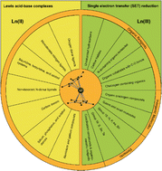 Graphical abstract: Divalent metallocenes of the lanthanides – a guideline to properties and reactivity