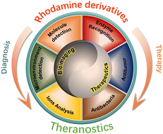 Graphical abstract: Fluorescent dyes based on rhodamine derivatives for bioimaging and therapeutics: recent progress, challenges, and prospects