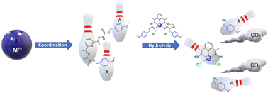 Graphical abstract: Hydrolysis of a carbamate triggered by coordination of metal ions