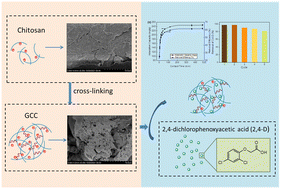 Graphical abstract: Adsorption property and mechanism of glutaraldehyde-crosslinked chitosan for removal of 2,4-dichlorophenoxyacetic acid from water