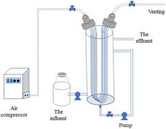 Graphical abstract: Partial nitrification/ANAMMOX (PN/A) membrane aerated biofilm reactor (MABR) under a low C/N ratio and metagenomics identification
