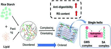 Graphical abstract: Control of starch–lipid interactions on starch digestibility during hot-extrusion 3D printing for starchy foods