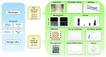 Graphical abstract: Wax based oleogels and their application in sponge cakes