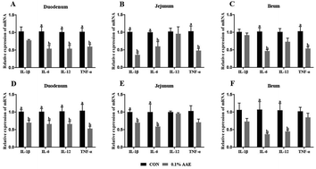 Graphical abstract: Maternal supplementation with Artemisia annua L. ameliorates intestinal inflammation via inhibiting the TLR4/NF-κB and MAPK pathways and improves the oxidative stability of offspring