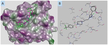 Graphical abstract: Novel piperazine-1,2,3-triazole leads for the potential treatment of pancreatic cancer