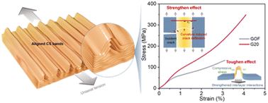 Graphical abstract: Aligning curved stacking bands to simultaneously strengthen and toughen lamellar materials