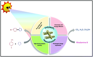 Graphical abstract: Magnetically separable type-II semiconductor based ZnO/MoO3 photocatalyst: a proficient system for heteroarenes arylation and rhodamine B degradation under visible light