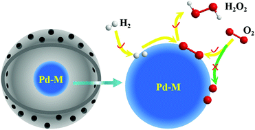 Graphical abstract: Direct synthesis of H2O2 over Pd–M@HCS (M = Sn, Fe, Co, or Ni): effects of non-noble metal M on the electronic state and particle size of Pd