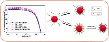 Graphical abstract: Enhancement on charge transfer properties of Cu12Sb4S13 quantum dots hole transport materials by surface ligand modulation in perovskite solar cells
