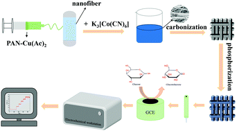 Graphical abstract: Electrospinning one-dimensional surface-phosphorized CuCo/C nanofibers for enzyme-free glucose sensing
