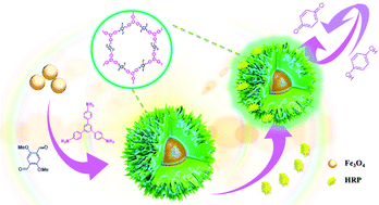 Graphical abstract: A highly sensitive electrochemical biosensor for the detection of hydroquinone based on a magnetic covalent organic framework and enzyme for signal amplification