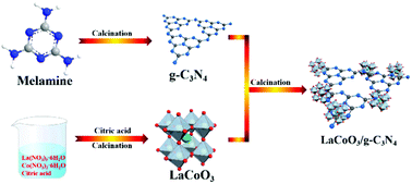 Graphical abstract: The synergistic effect of PMS activation by LaCoO3/g-C3N4 for degradation of tetracycline hydrochloride: performance, mechanism and phytotoxicity evaluation