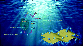 Graphical abstract: Preparation of miscible CdS and homojunction C3N4 hybrids for efficient photocatalytic degradation of tetracycline
