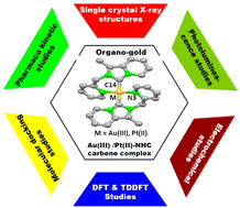 Graphical abstract: ‘Optimized route’ to synthesize isoelectronic and isostructural Au(iii)- and Pt(ii)-NHC complexes: synthesis, structure, spectral properties, electrochemistry, and molecular docking studies