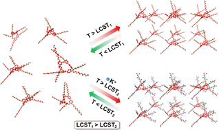 Graphical abstract: An amphiphilic water-soluble biphen[3]arene with a tunable lower critical solution temperature behavior