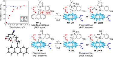 Graphical abstract: Elucidation of a detection mechanism of a fluorescent sensor based on photo-induced electron transfer for water
