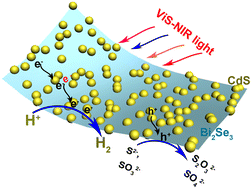 Graphical abstract: Ultrathin Bi2Se3/CdS composite for efficient photocatalytic hydrogen evolution via high interfacial charge separation and photothermal effect